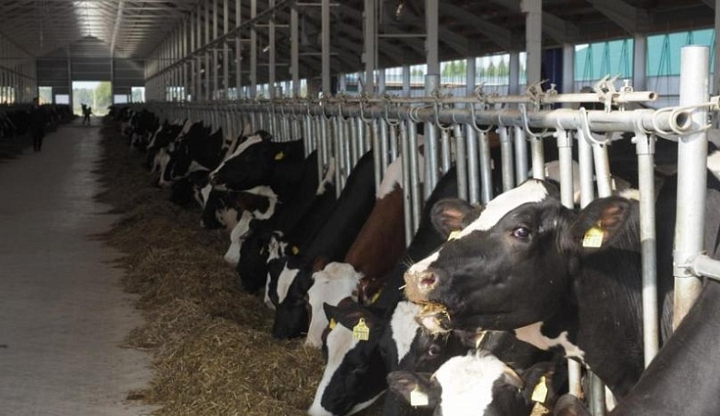 Анатолий Артамонов принял участие в открытии нового животноводческого комплекса на юго-западе области