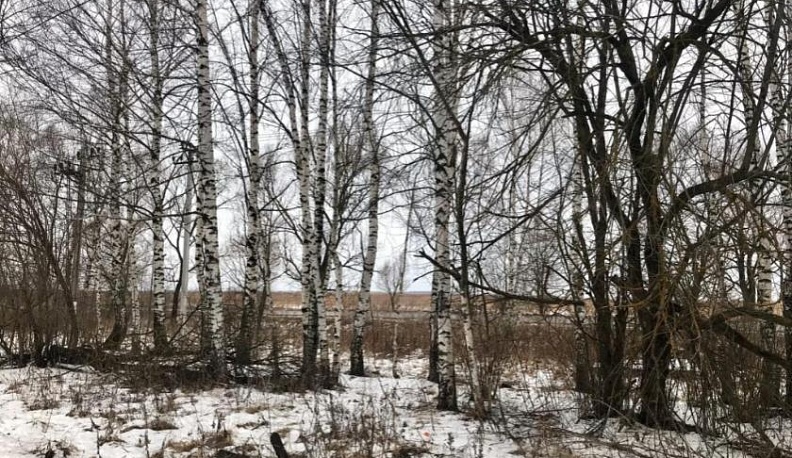 Сегодня в Калуге будет тепло и дождливо