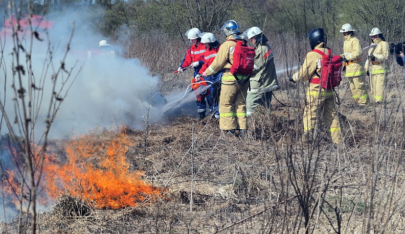 С мартовским заПАЛом