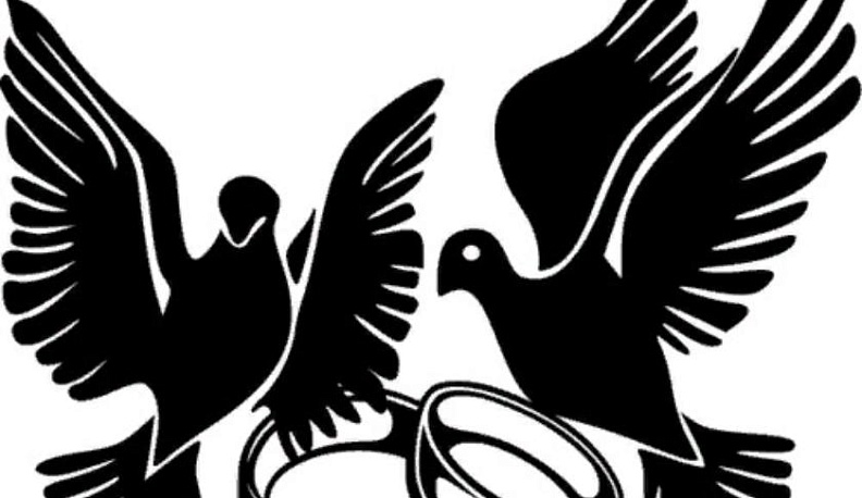 В Жиздринском районе количество браков выросло, а разводов – сократилось