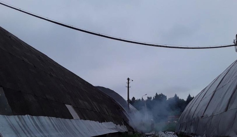 В Калужской области полыхнула птицефабрика