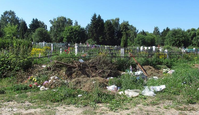 Это надо живым