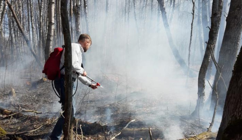 Калужским лесным пожарным закупили ранцевые огнетушители