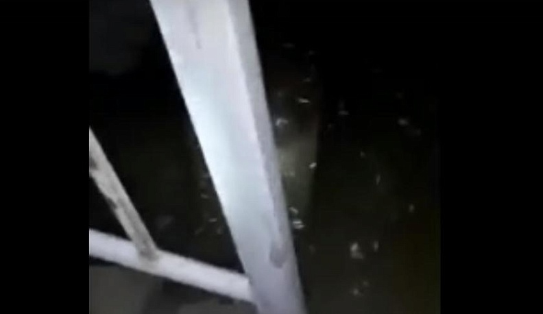 Устранен засор на сетях, ставший причиной затопления домов в Калуге