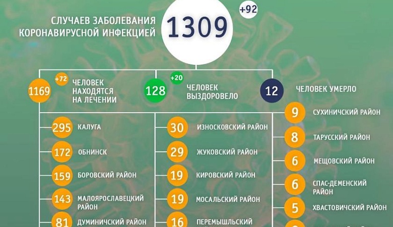 В Калужской области выросло до 1309 число случаев заболевания коронавирусом