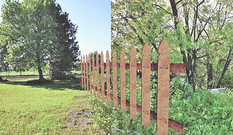 Когда соседи - клещи и мыши