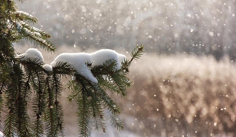 Калужан ждет один день зимы