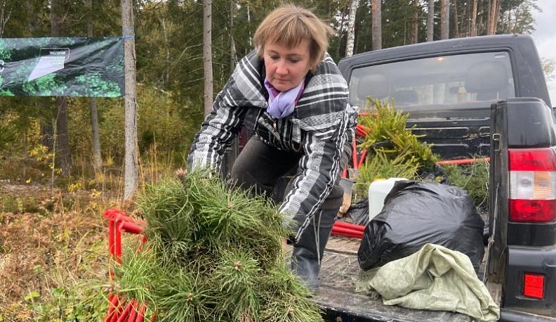 За год калужские лесоводы высадили более 7,5 миллионов молодых деревьев