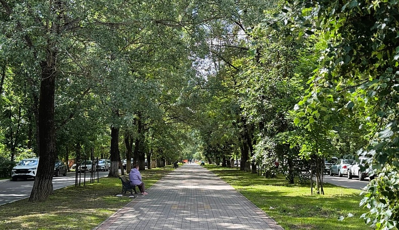 Бульвар на улице Чичерина в Калуге стал победителем онлайн-голосования за благоустройство