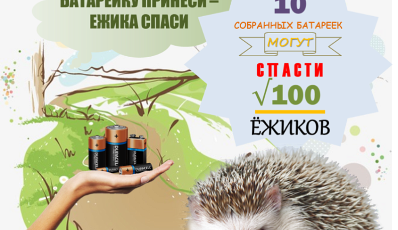 В Калужской области стартовала акция «Батарейку принеси – ёжика спаси»