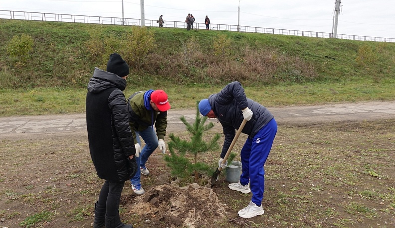 В сквере Волкова в Калуге спортсмены посадили сосны