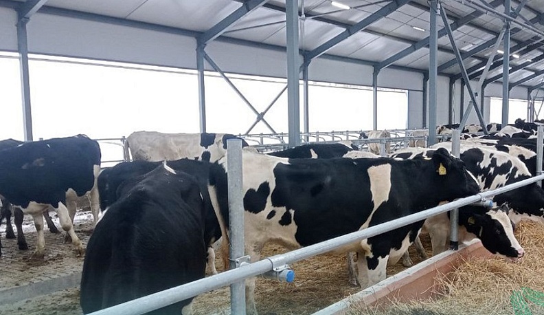 В Калужской области откроют новый молочный комплекс «Ульяновская нива»