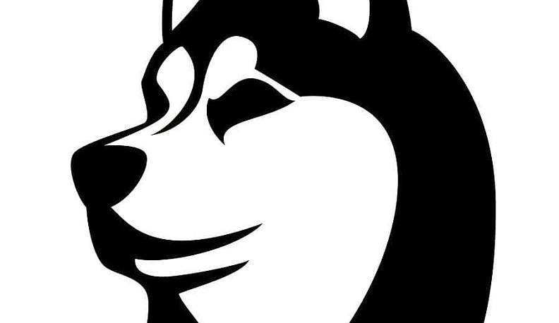 МВД предлагает 69 пород собак отнести к потенциально опасным