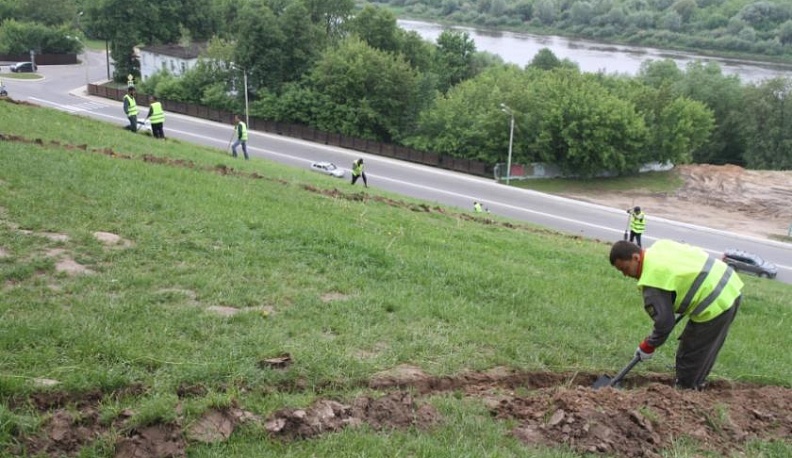  На склонах Центрального парка Калуги создадут европейский газон