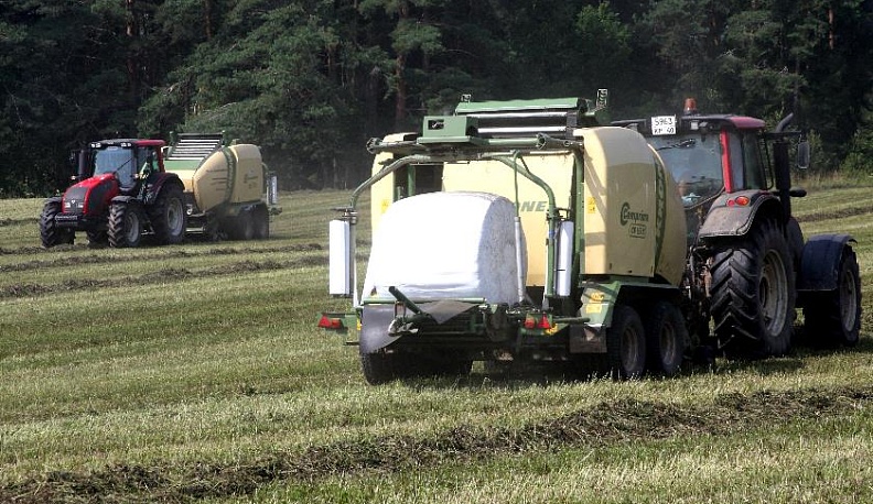 В коня корм. И не только