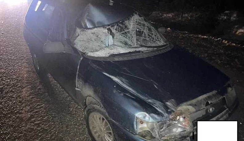 В Калужской области машина сбила мушкетёра