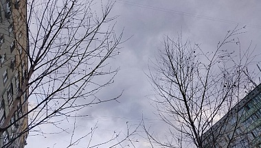 В Калуге двое мужчин пострадали в результате уничтожения дронов