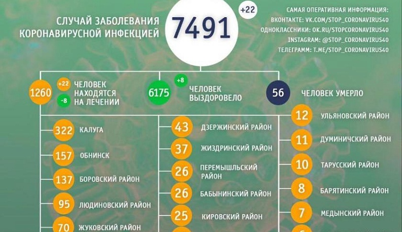 В Калужской области обновили статистику по коронавирусу
