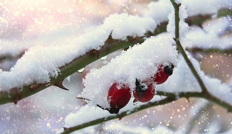 Сегодня в Калуге похолодает