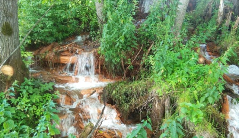 вКЛЮЧайся! - продолжение