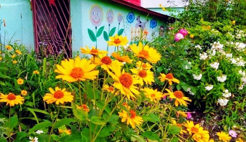 Калужане принимают участие в конкурсе «Лучший дом. Лучший двор»