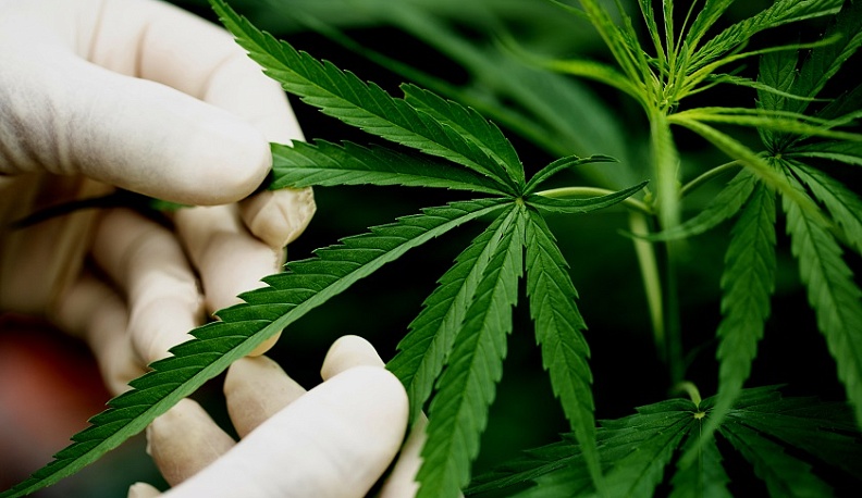 Калужская полиция задержала в Дзержинском районе хозяина гаража с наркотиками