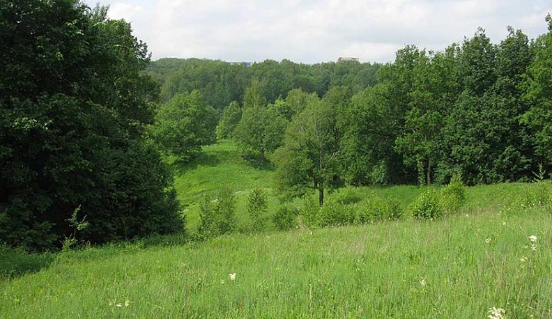 Городские власти планируют оживить Можайку