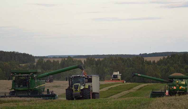 Весомый кусок каравая
