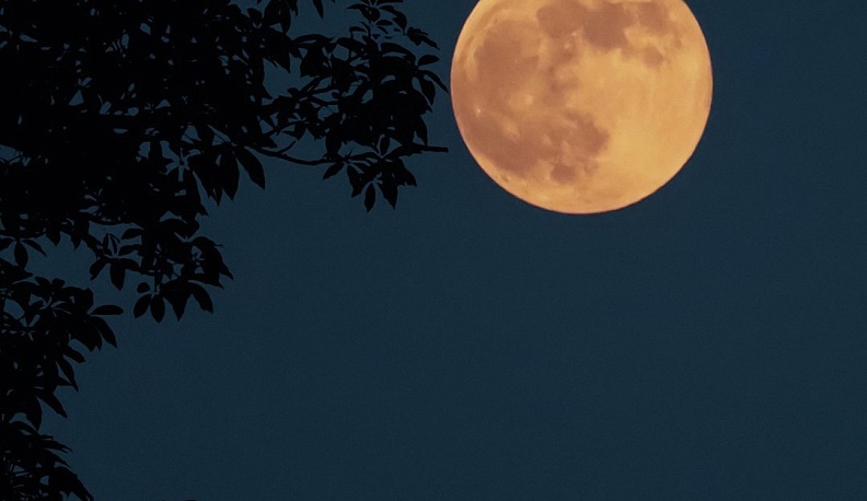 Калужане увидят два астрономических явления