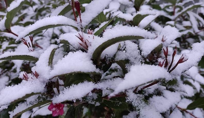 В Калуге продолжается потепление
