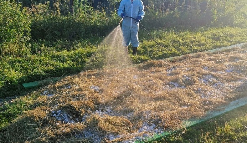 Птичий грипп в Хвастовичах не подтвердился