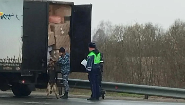 В Калужской области на трассе «Золотое кольцо» прошел рейд Госавтоинспекции и кинологов 