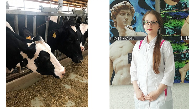 Каждой бурёнке – знак качества