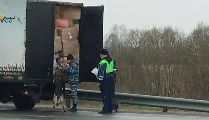 В Калужской области на трассе «Золотое кольцо» прошел рейд Госавтоинспекции и кинологов 