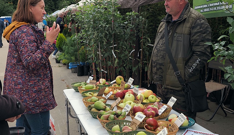 Яблоки из питомника в Дзержинском районе на ярмарке «Калужская осень - 2023».