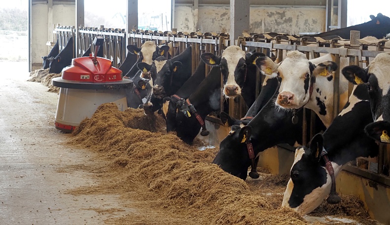 Успехи приоритетной отрасли АПК