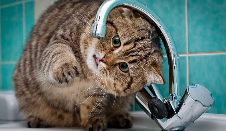 В субботу без воды останется индустриальный парк Калуга