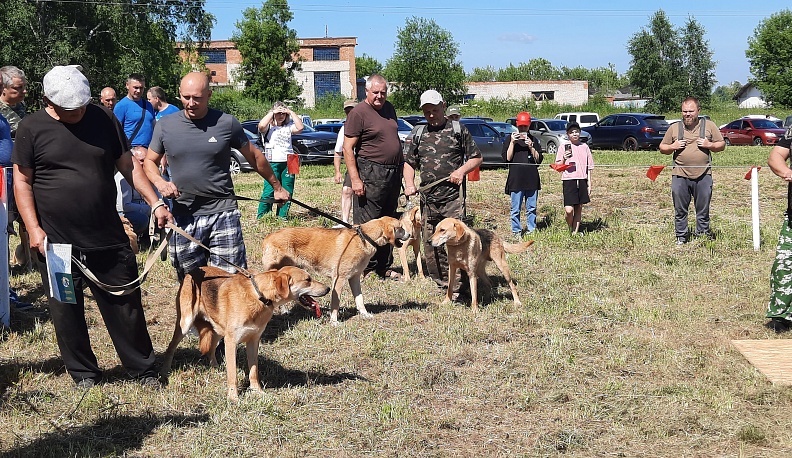 В Сухиничах собрались собаководы со всей Калужской области 
