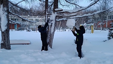 В сельской школе  Малоярославецкого округа прошла акция «Покорми птичек»