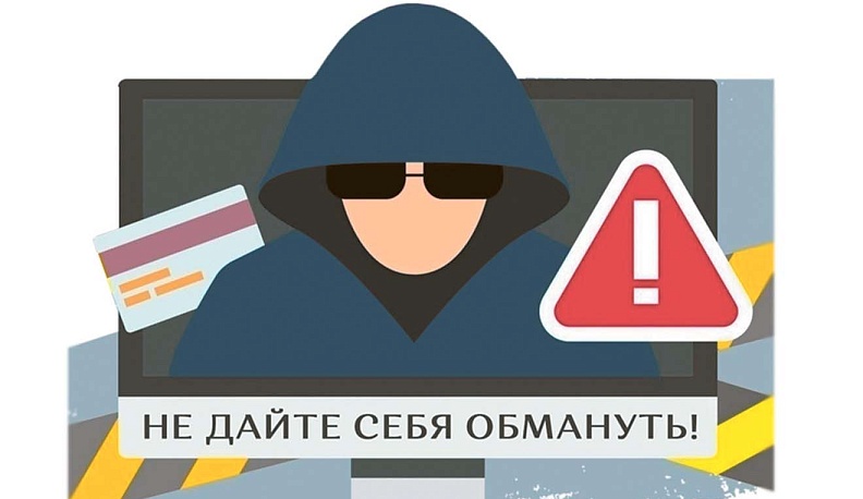 Держат нос  по ветру