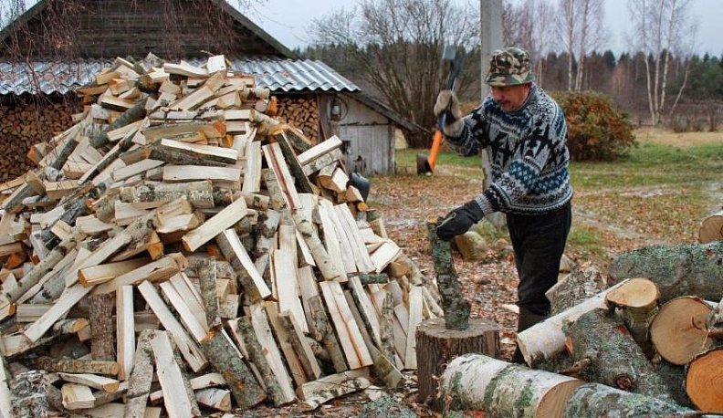 Более 3,5 тысяч калужан бесплатно заготовили древесину для собственных нужд