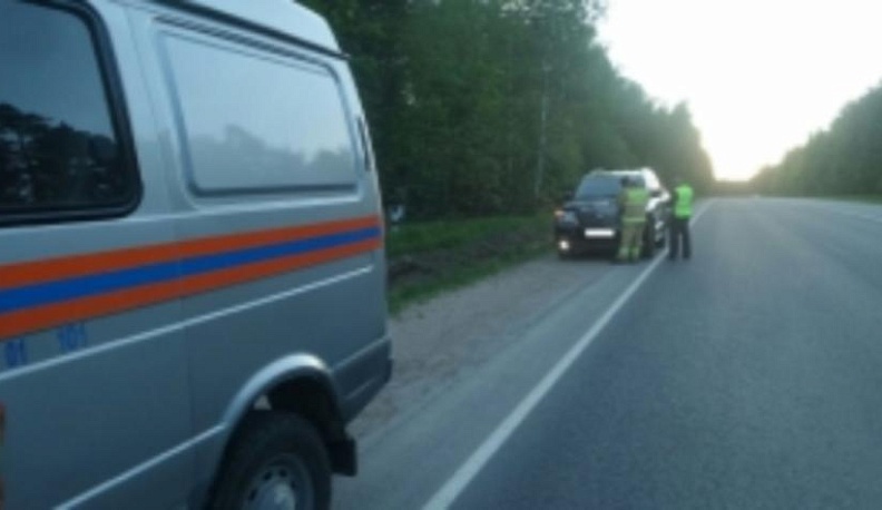 Косуля попала под колёса иномарки в Дзержинском районе