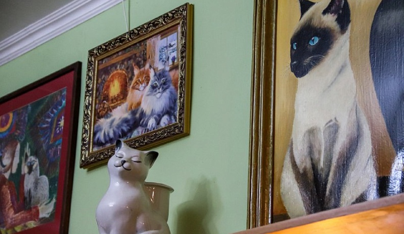 Калужский Котомузей сменил адрес