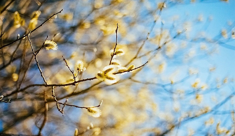 В Калужской области установится плюсовая температура