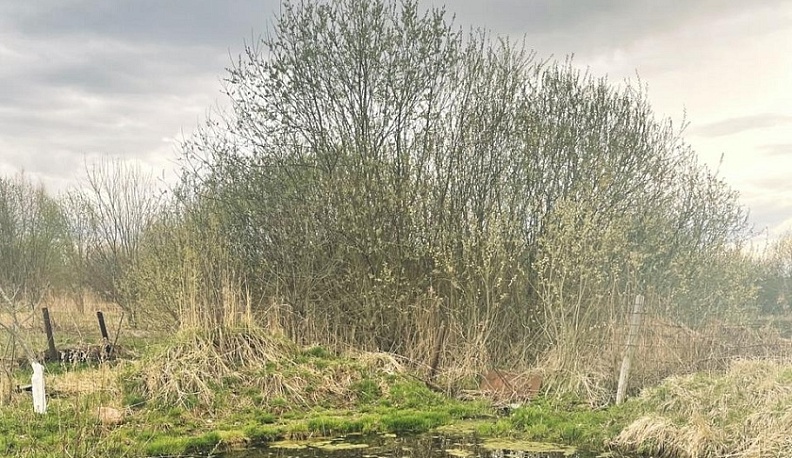В Дзержинском районе пенсионерка утонула в водоеме на своем участке 