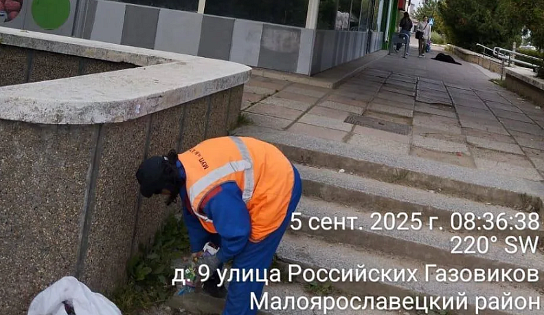 После обращения в интернете в Малоярославце убрали мусор