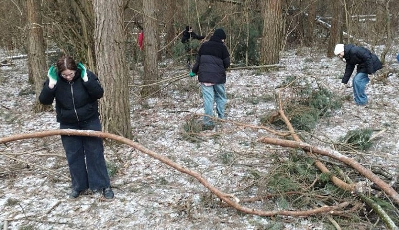 Школьники и студенты из Тарусы очистили часть леса от валежника