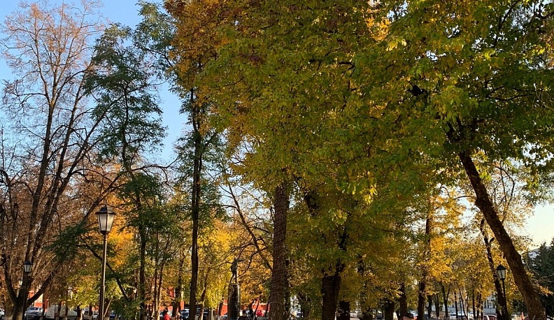 В Калуге 11 октября ожидается последним солнечным днем