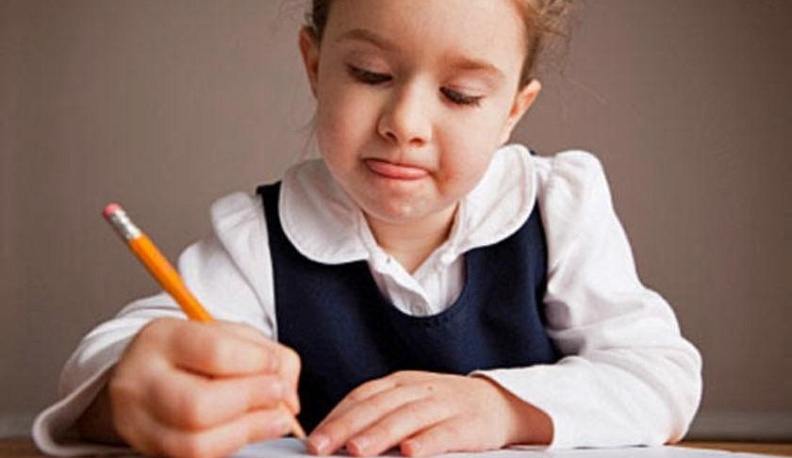 Калужские школьники дома пишут контрольные и отсылают их через WhatsApp