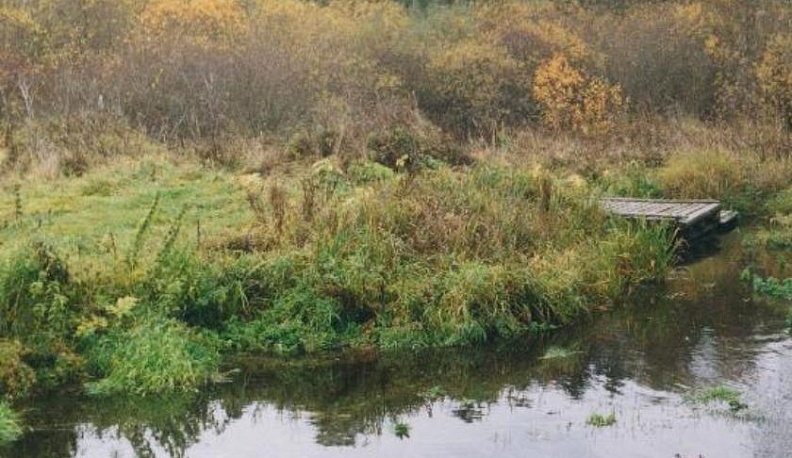 О чём плачут грифоны